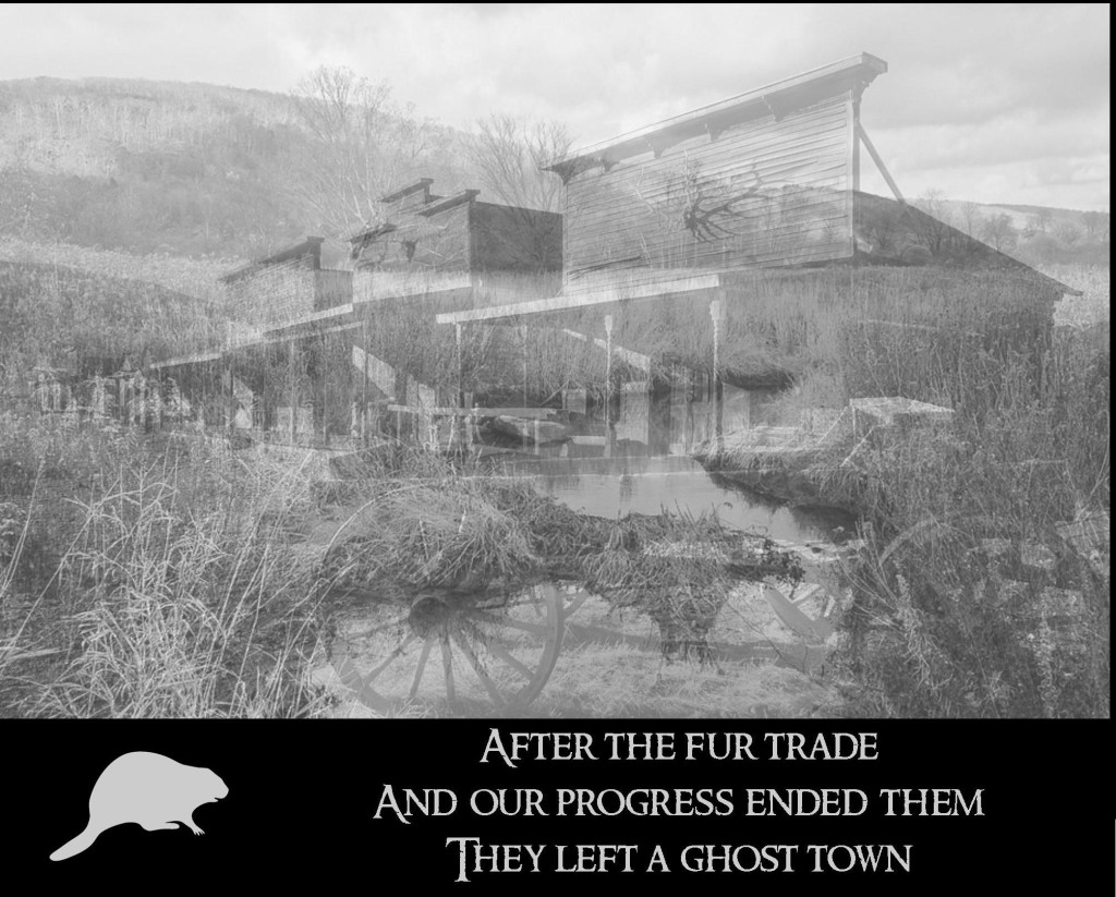 NASA MAKES SHOCKING BEAVER DISCOVERY Worth A Dam