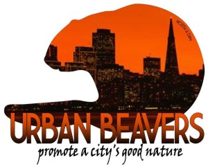 URBAN BEAVERS IN CHICAGO – Worth A Dam