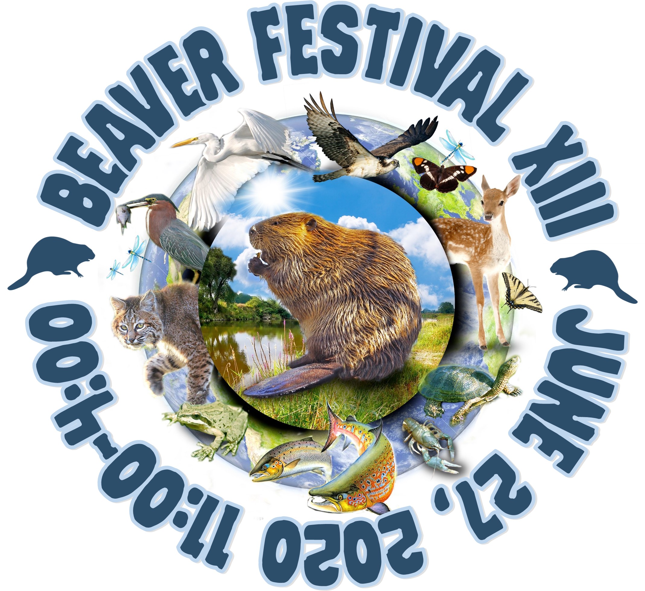 BEAVERS MAKING A SPLASH EVERYWHERE – Worth A Dam