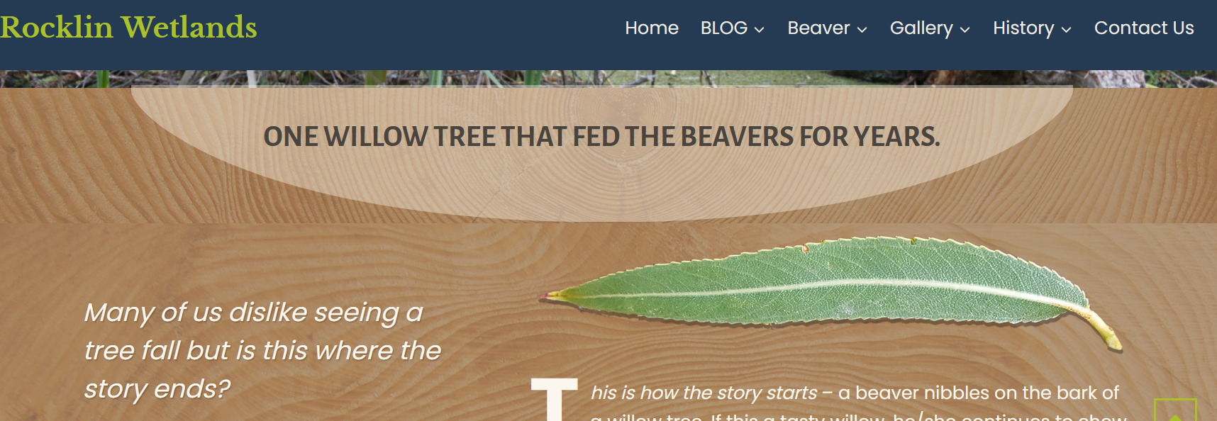 WHAT A BEAVER WEBSITE SHOULD LOOK LIKE – Worth A Dam